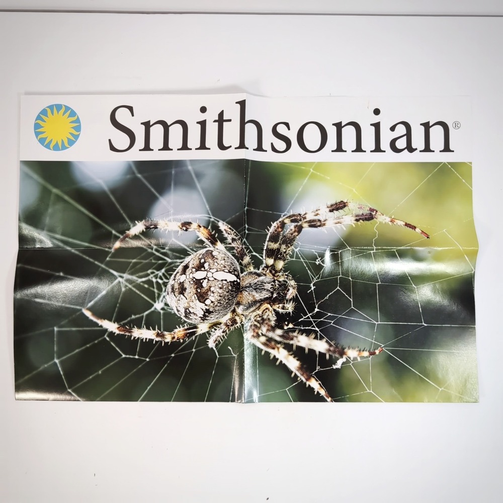 Smithsonian ROBO-SPIDER Model Science Kit build a Robot Robo Spider Open Box - Picture 6 of 8